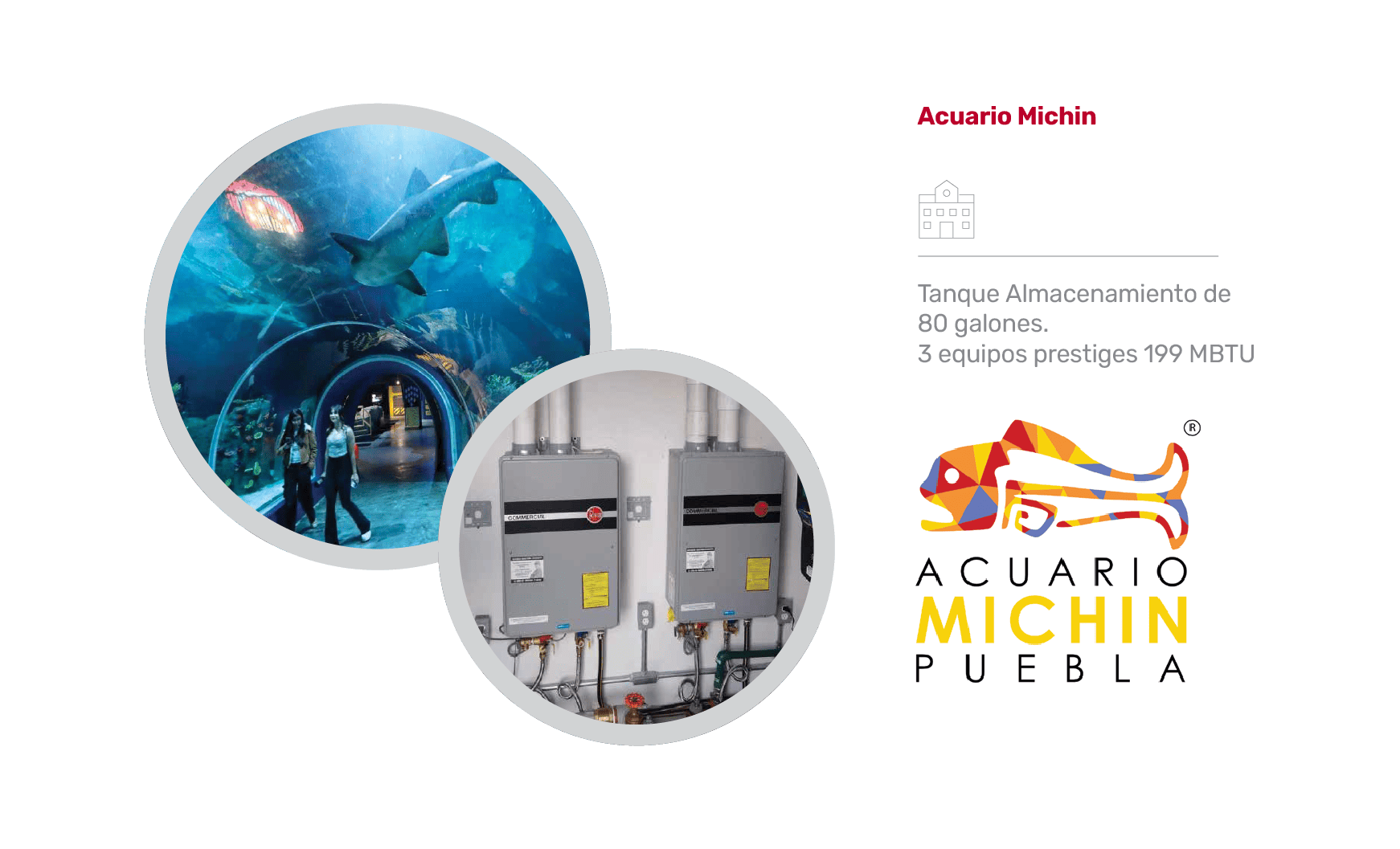 Acuario Michin Rheem