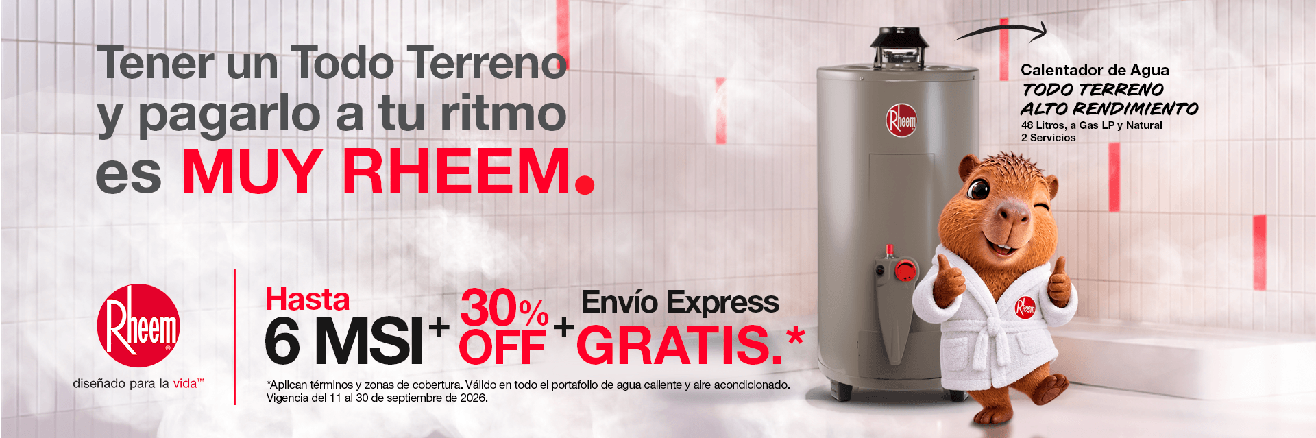6 meses sin intereses Rheem México