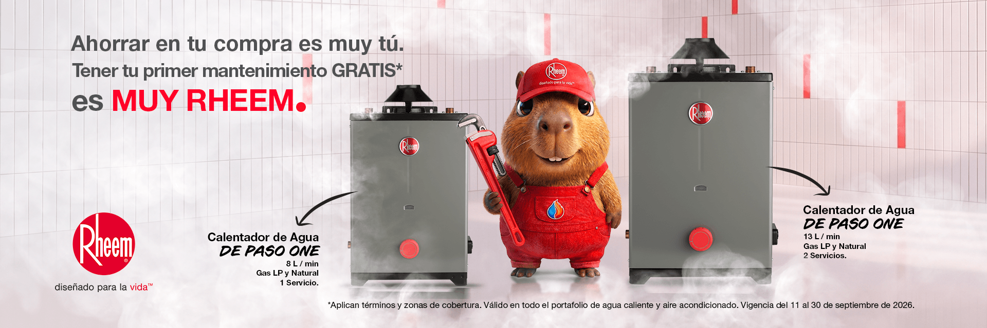 Mantenimiento calentador Rheem