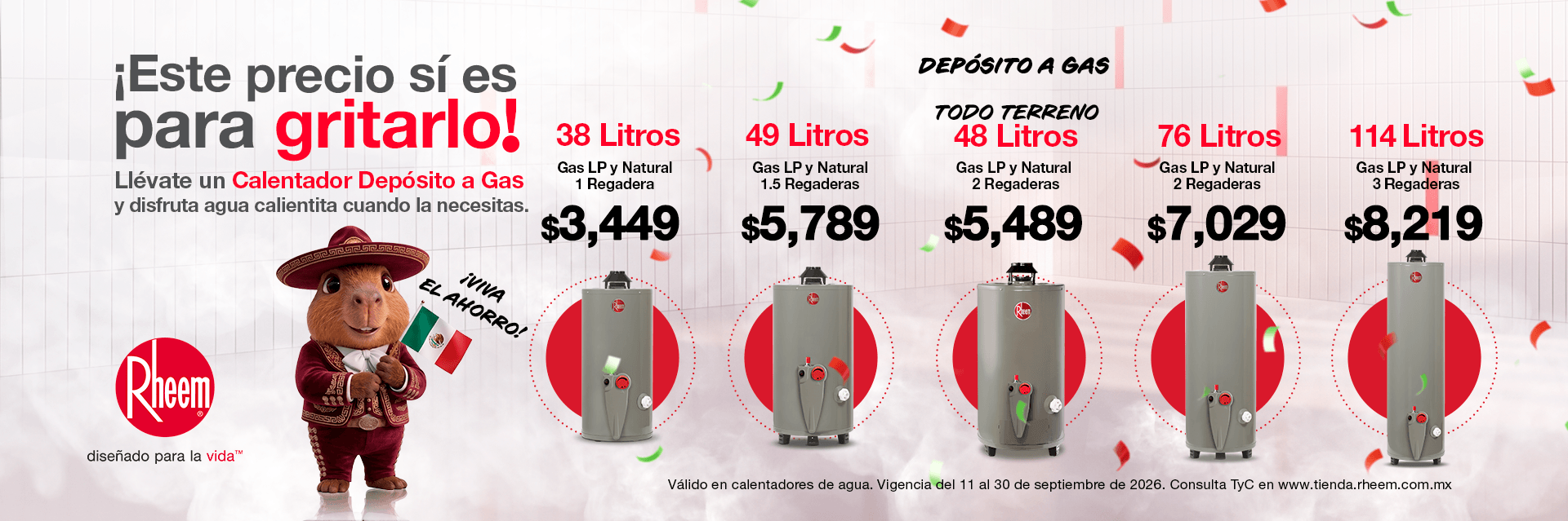 Calentador de depósito a gas Rheem