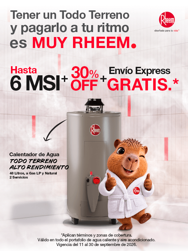 6 meses sin intereses Rheem México