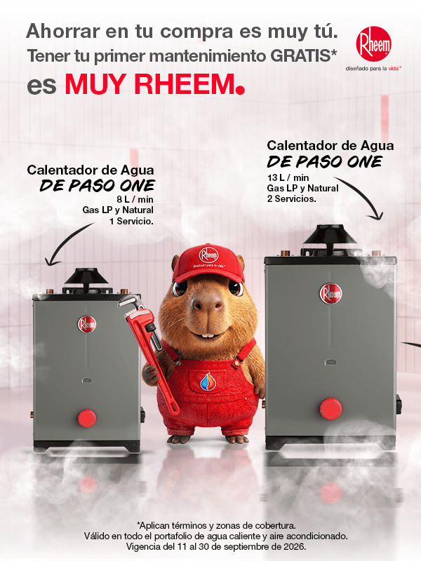 Mantenimiento calentadores Rheem México