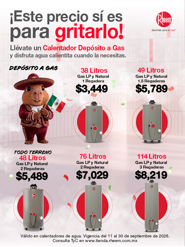 Calentador depósito a gas Rheem