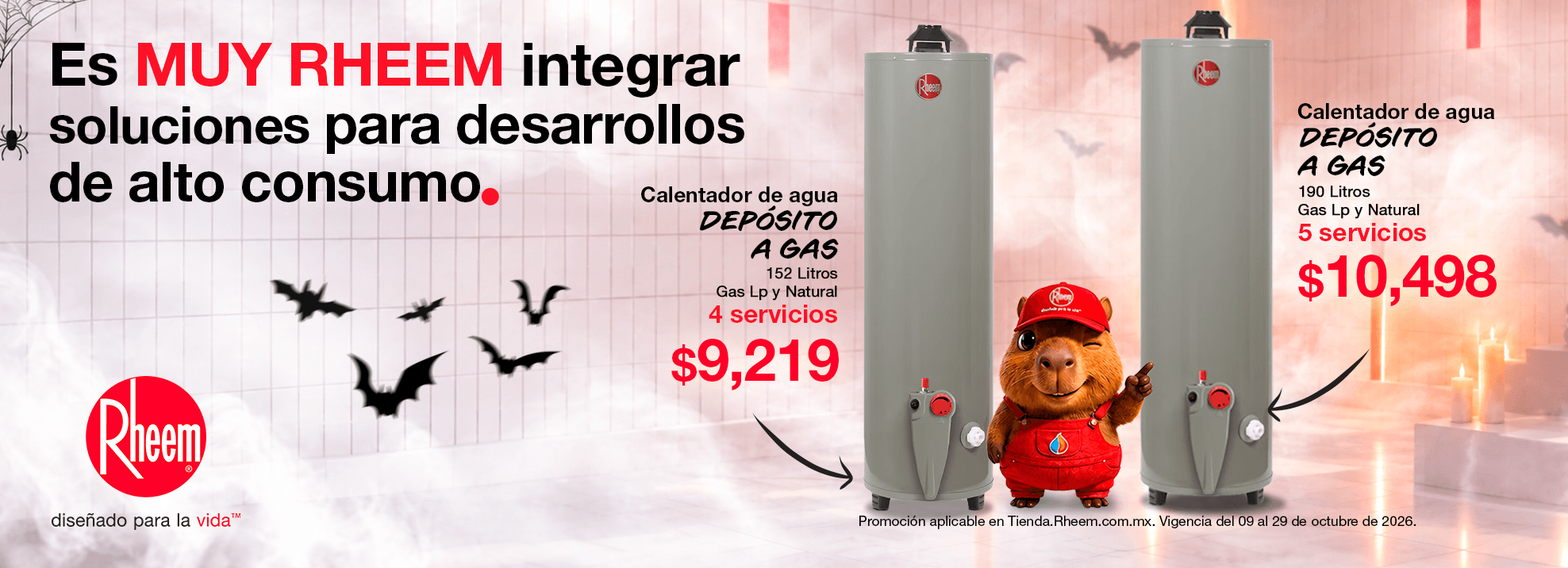 Agua caliente Rheem