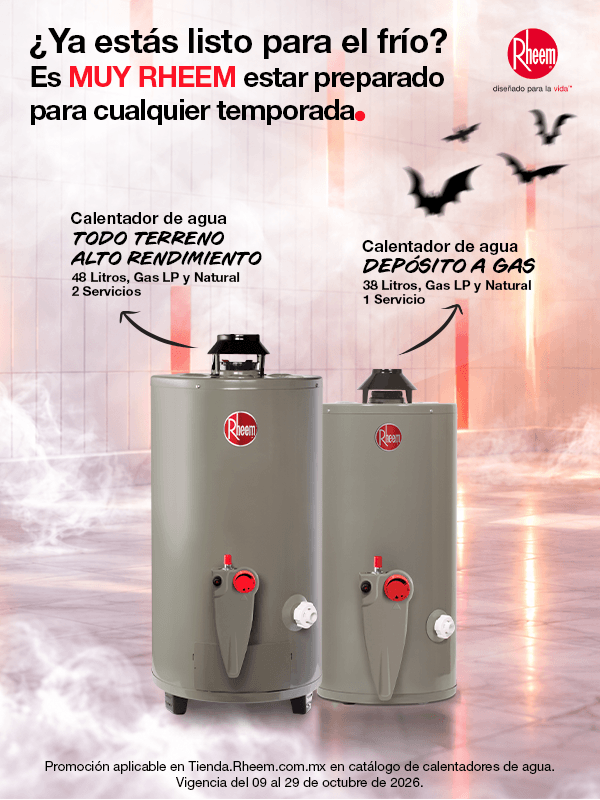 Agua caliente Rheem