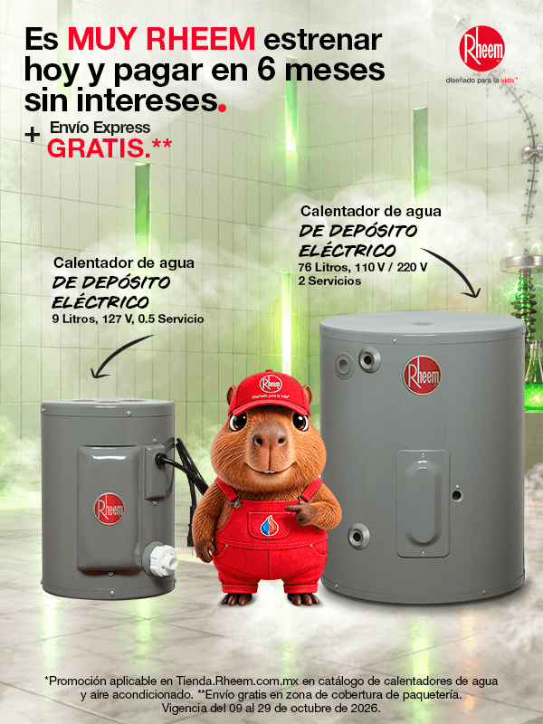 Agua caliente Rheem