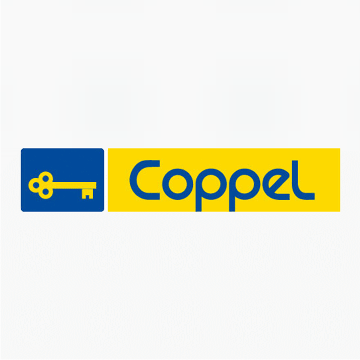 Comprar productos Rheem en Coppel